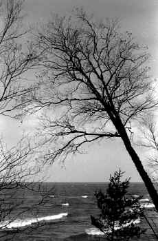 Superior1.JPG (68848 bytes)